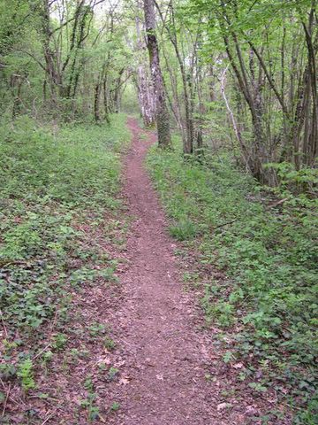 La descente d arguel